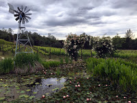 Ayrael Vieux Vineyard and Winery