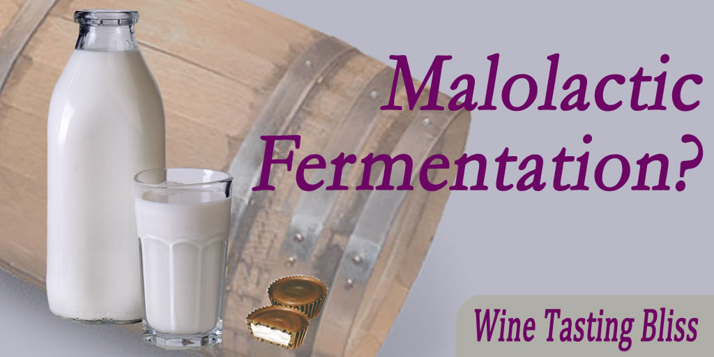 Malolactic Fermentation