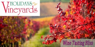 Holidays in the Vineyards 2015