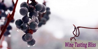 What is Ice Wine?