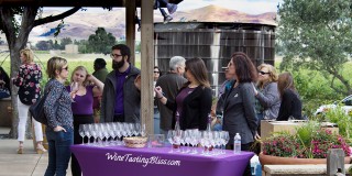 The Darcie Kent Vineyards Summer Release Party