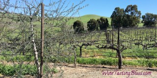 Springtime Means Outdoor Winetasting