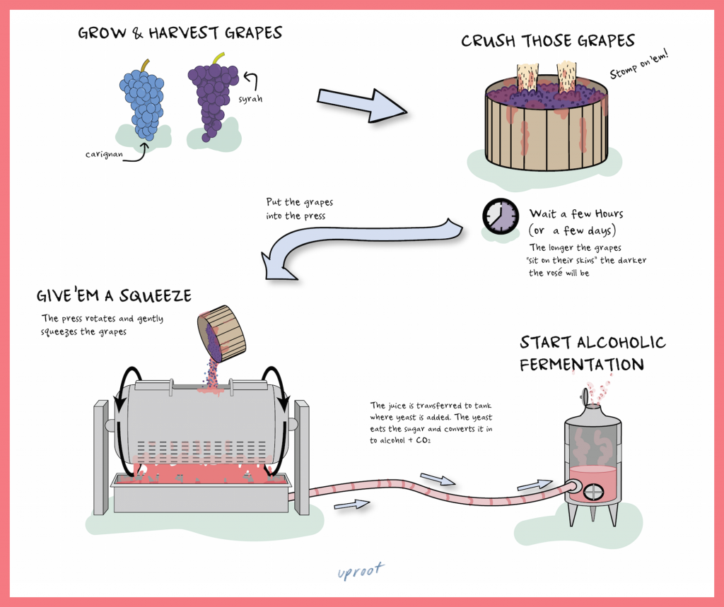 The Resurgence Of Ros WineTastingBliss Com   RoseMaking 1024x859 