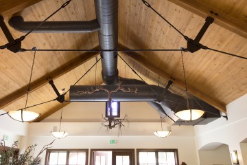 Harney Lane Winery ceiling