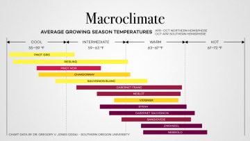 wine growing temperatures