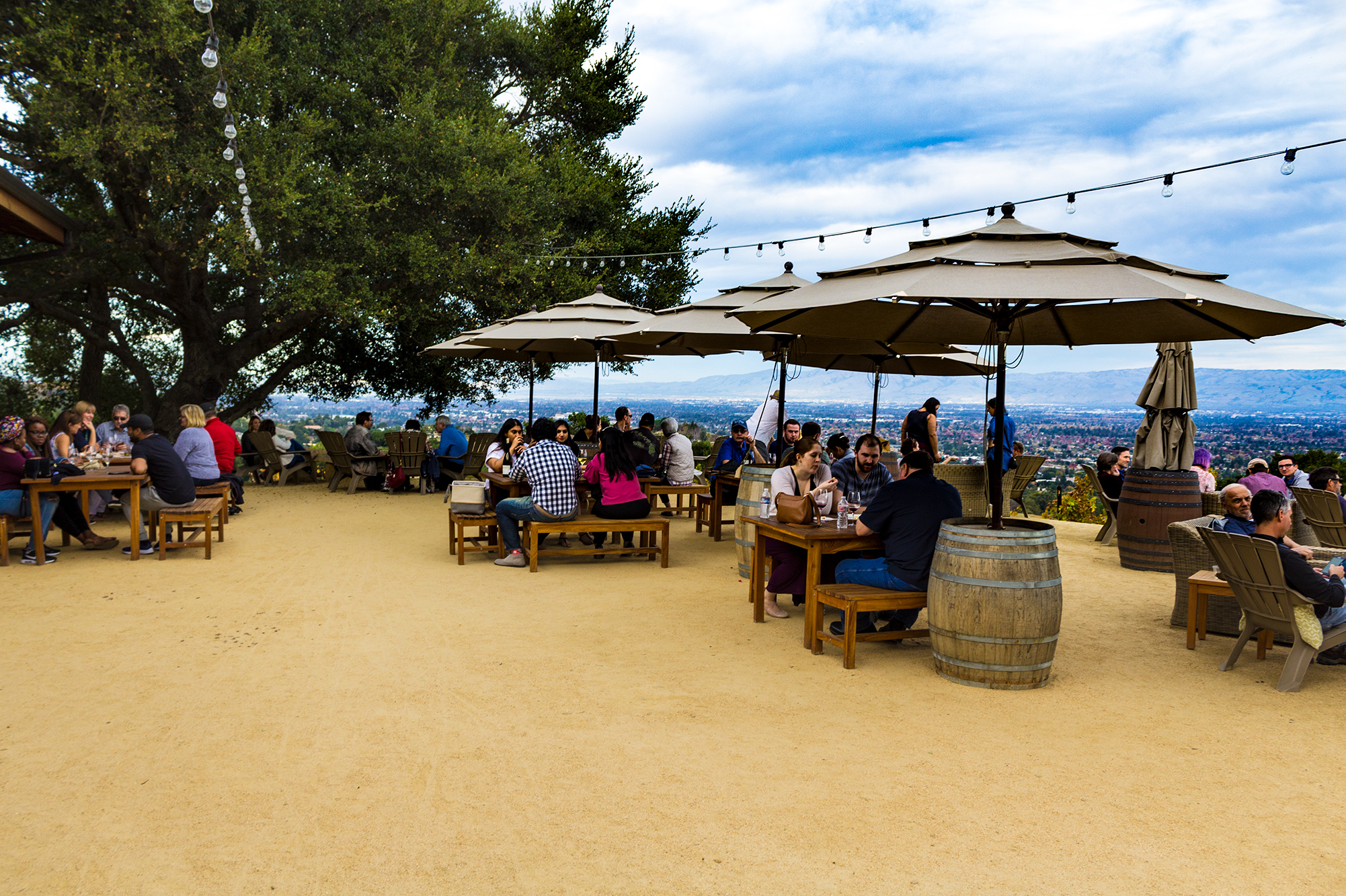 House Family Vineyards - WineTastingBliss.com