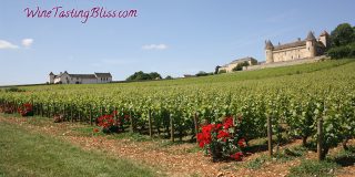 The Wines of Burgundy France