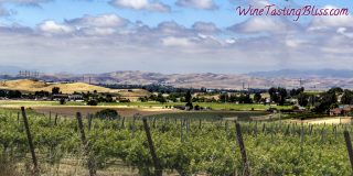 The Ports of Eagle Ridge Vineyard