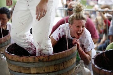 grape stomping in action