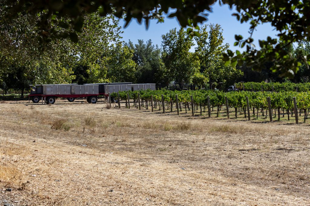 ruby hill winery picking truck
