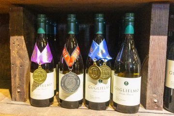 Guglielmo Wine Bottles